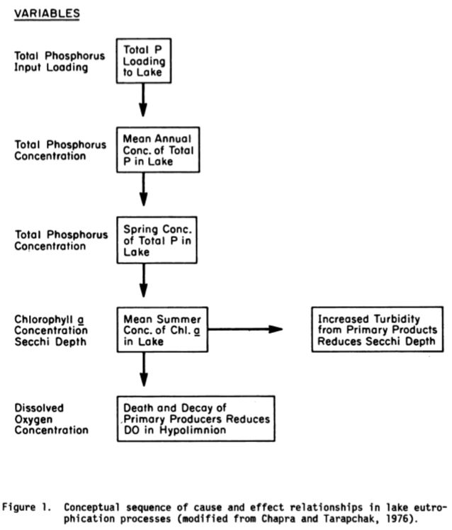 lake eutrophication ....Porcella et al