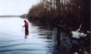 Dedicated benthic ecologist, Kim Hynes of Ontario, looks all alone at Morris Lake!