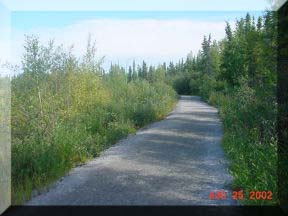 pea gravel/crusher dust section of trail