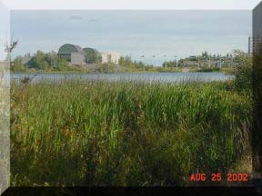 NWT Legislature