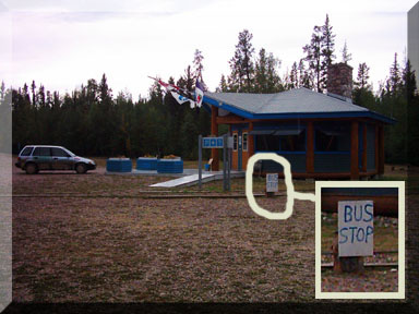 A bus stop (!!) at Sambaa Deh park