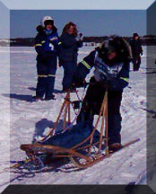 Brent Beck and sled (maybe - can't see bib # well)