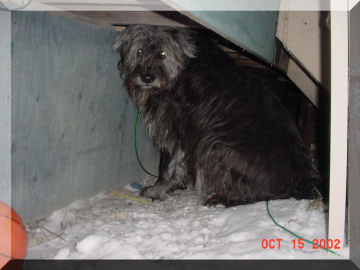 Scully under the house wall