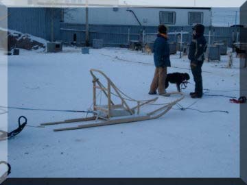 Lightweight wooden dog sled