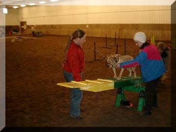 Jasmine learning the teeter-totter