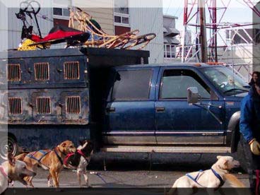 The kennel truck and dogsleds