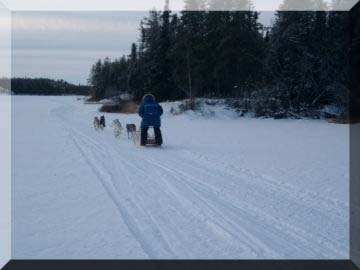 Mike zooming away with his dog team