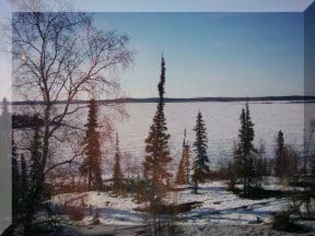 view from dining room